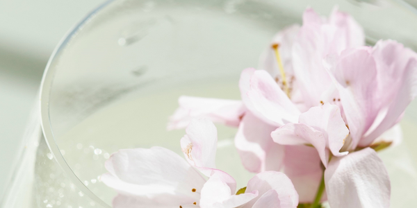 Soft Drinks & Mocktails